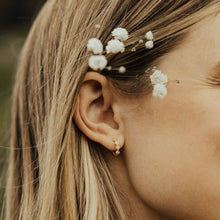 Load image into Gallery viewer, Alice Diamond Hoops in Gold