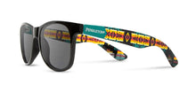 Load image into Gallery viewer, Pendleton Sunglasses - Chief Joseph
